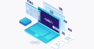 özel web yazılım